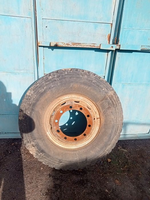 Хова шансиман 320х508