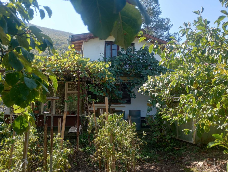 Продава се Къща в с. Свидня, Област София-област - 1 кв.м за 25000 €/кв.м - Снимка #3