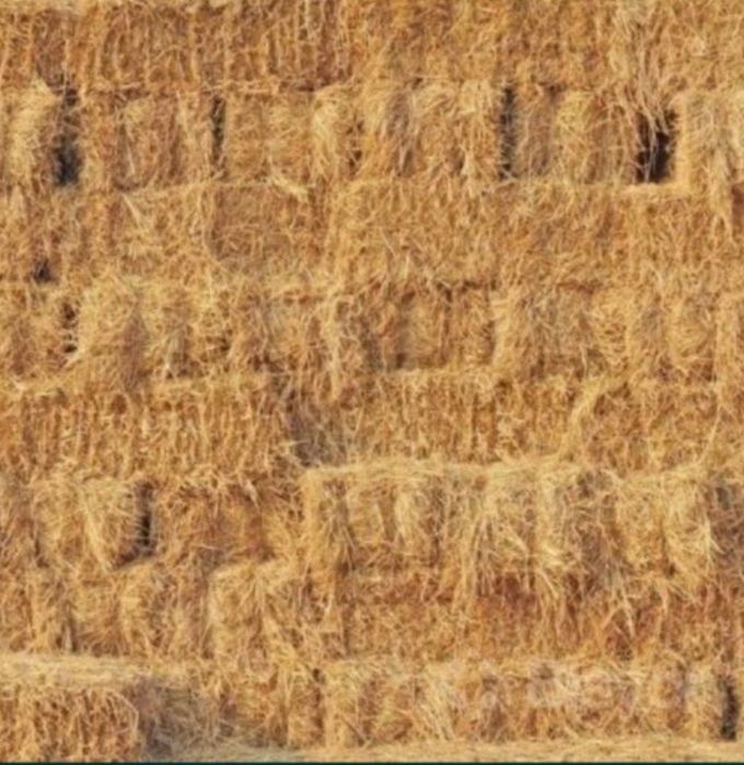 Somon press Beda press yeryanĝoq pres