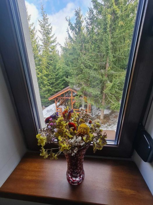 Inchiriez cabana in statiunea Ranca, Gorj, langa partia M1