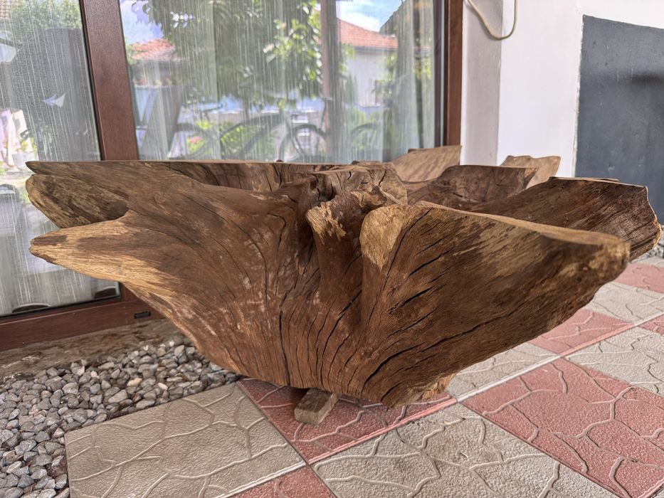 Radacina stejar pt măsuță cafea