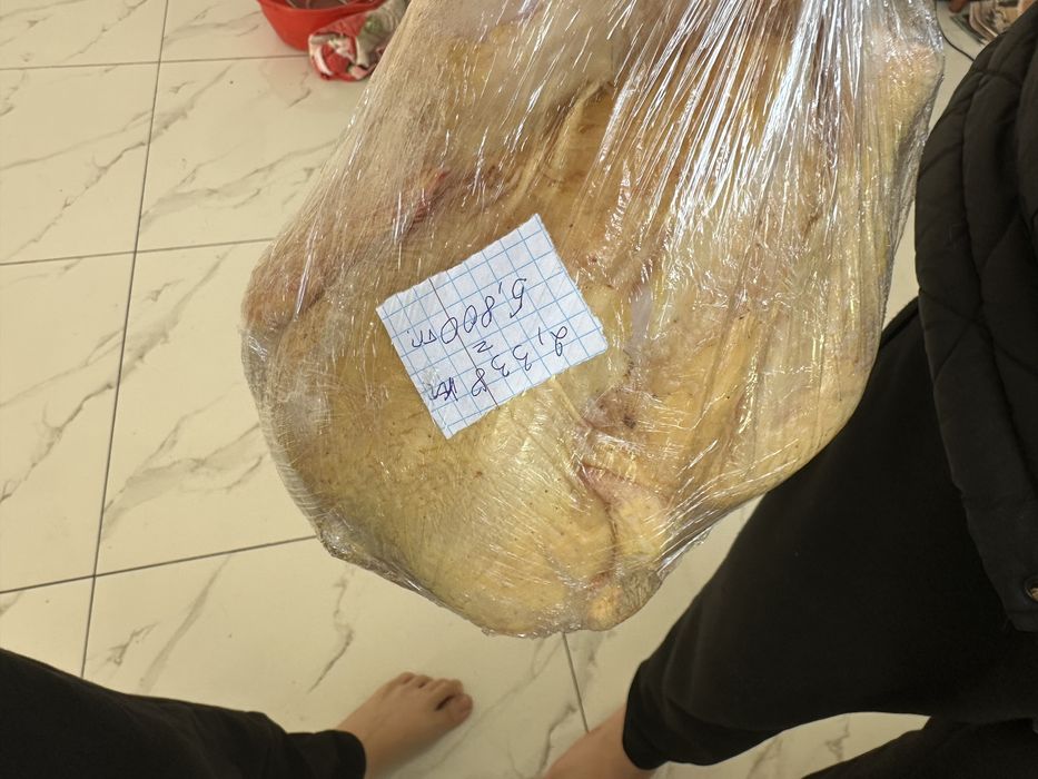 Бройлер  цыплята