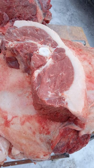 Мясо конины достовка бесплотна