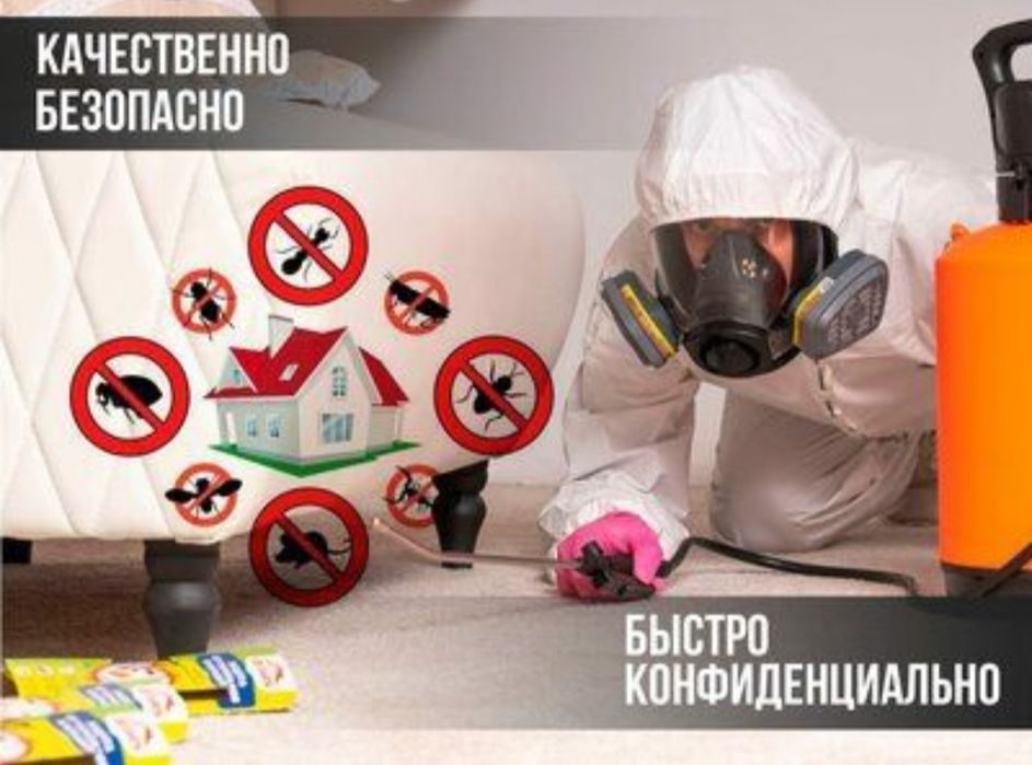 Гарантия результата. Клопы.