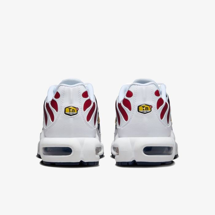 Nike Air Max Plus TN PSG