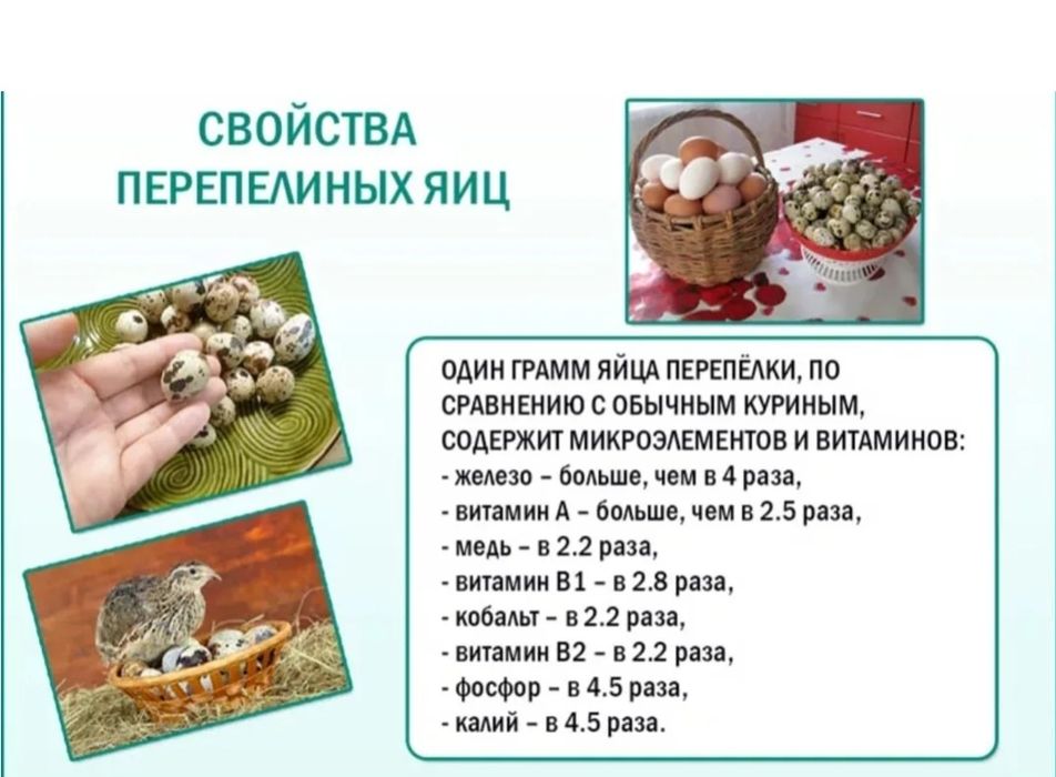 Перепелинное яйцо