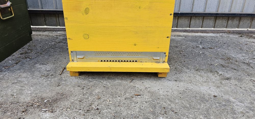 Stupi albine noi, complet echipati