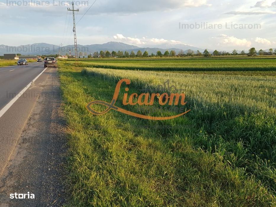 Teren Stupini Calea Feldioarei 4600 mp,21 euro/mp, front la asfalt