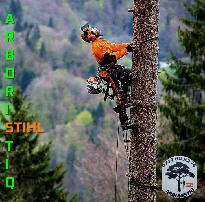 Toaletat doborât arbori/copaci alpiniști /alpinism utilitari/tocat