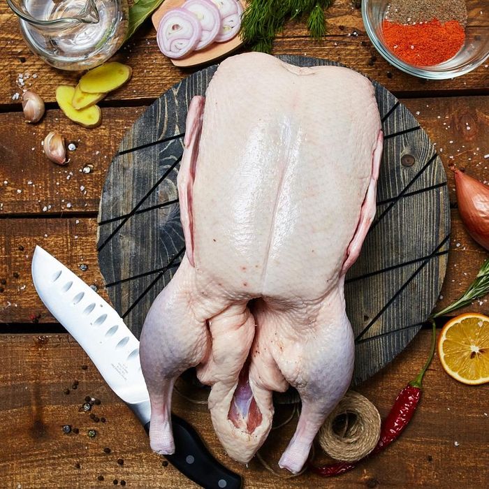 Мясо индоутки домашней.