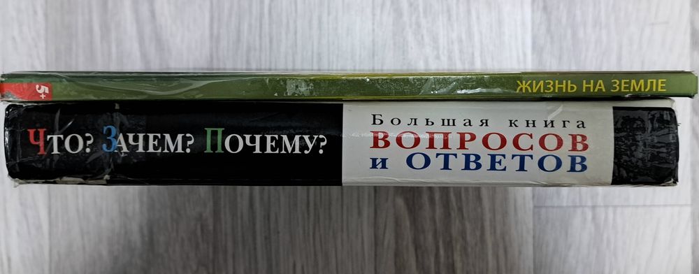 что зачем почему для детей