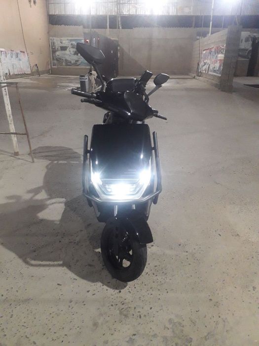 Skutir Tok bilan yuradi