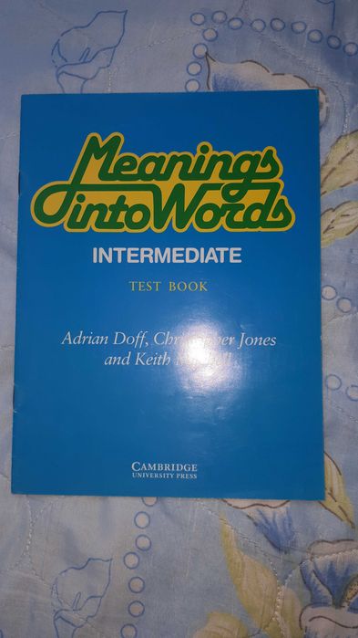 meaning into words - test book