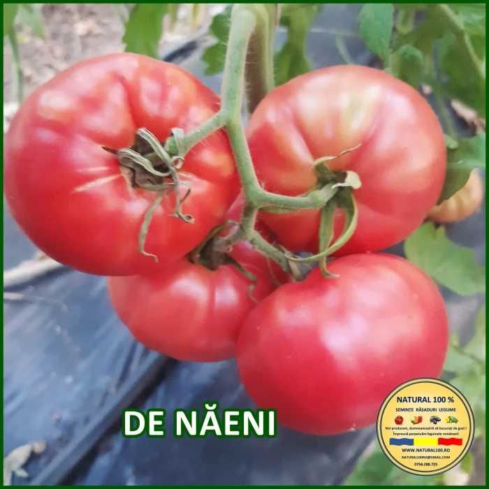 Răsaduri legume tradiționale românești – gust autentic ca pe vremuri