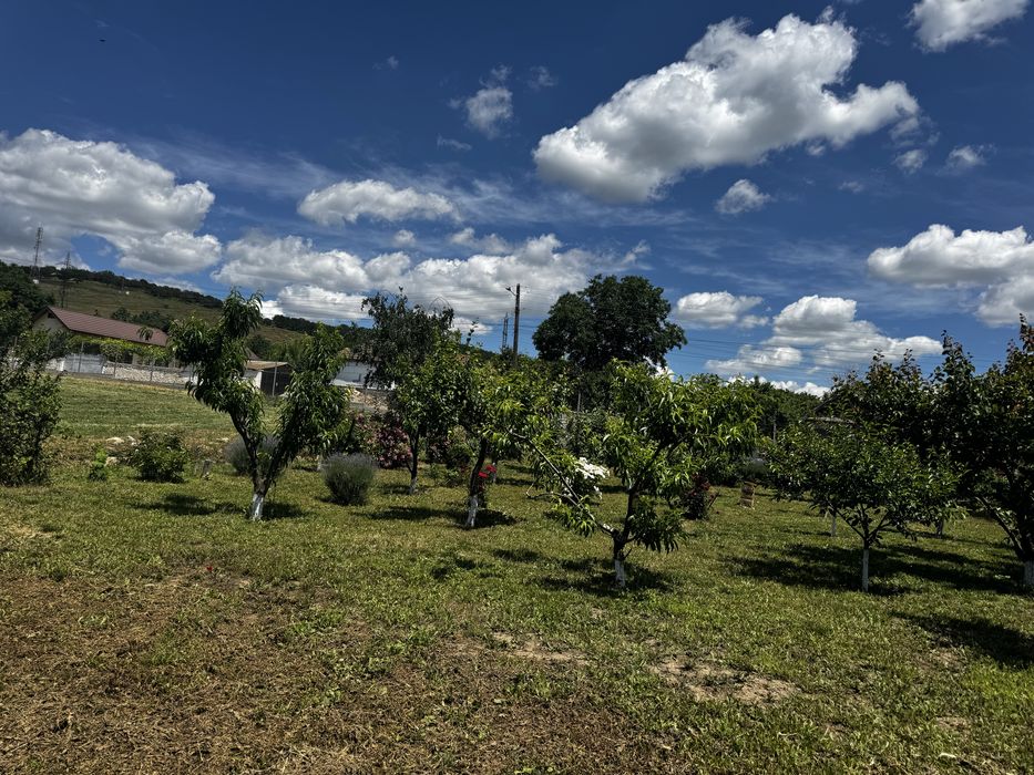 Se vinde casa la tara