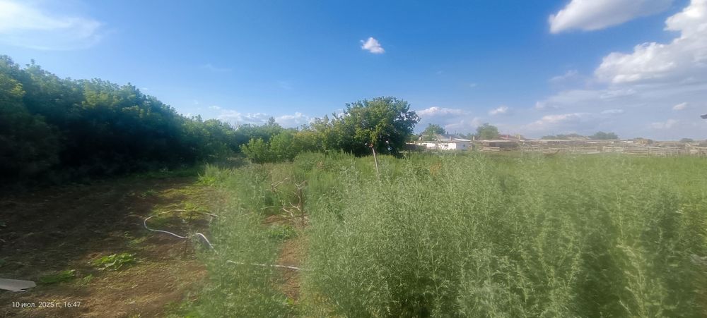 Тез арада үй  сатылады . Бағасы келісімді.