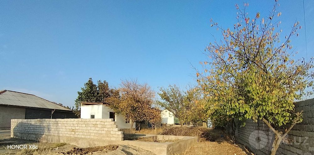 Tashmore yolda 4 sotxli xovli sotladi
