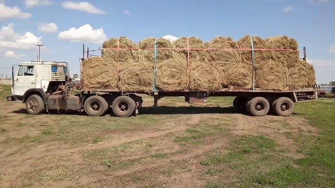 Услуги полуприцепа доставка сена.