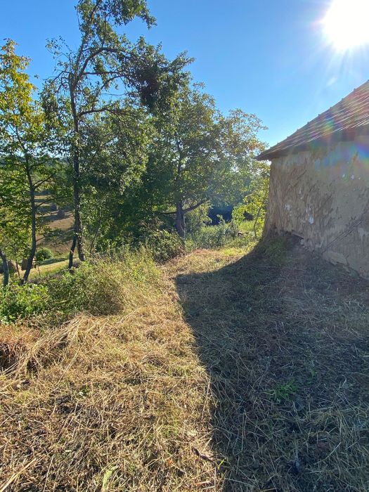 Casa + teren Certeju de Jos, Vorta