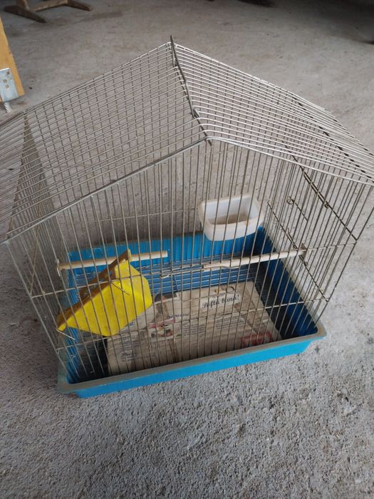 colivie second hand pentru canari, perusi, pasari exotice etc.