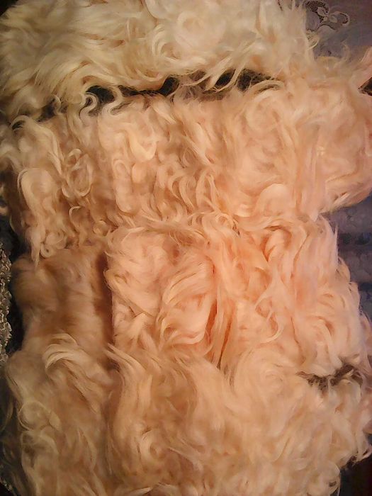 Рюкзак-холодильник, цептор, гантели