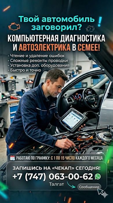 Автоэлектрик семей