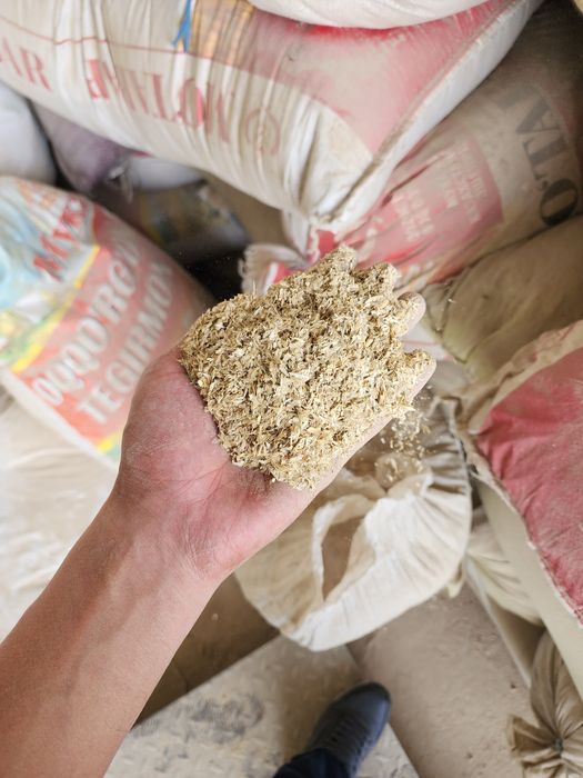 Bug'doy mikinasi, topon.