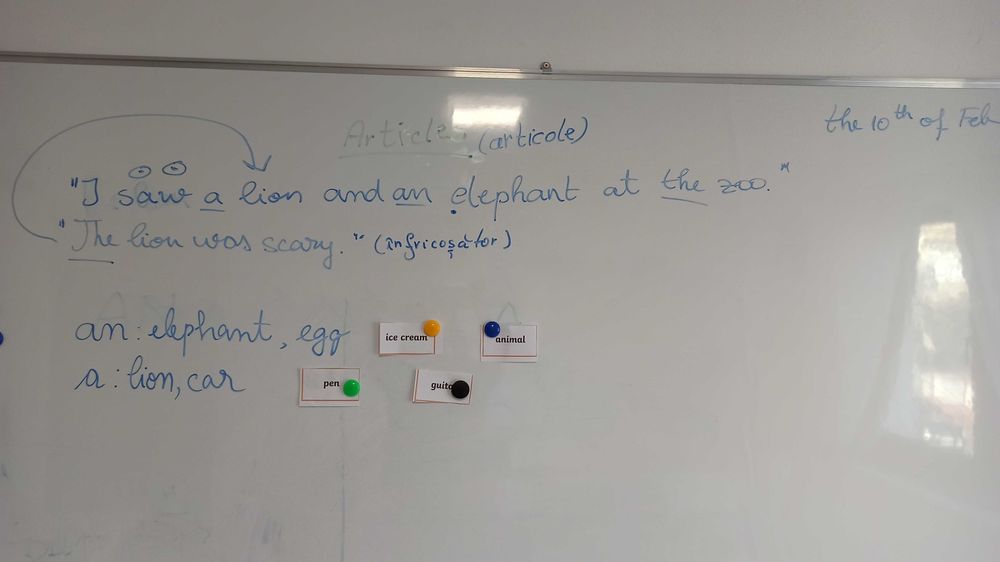 Meditații limba engleză - 65 RON/ 1h