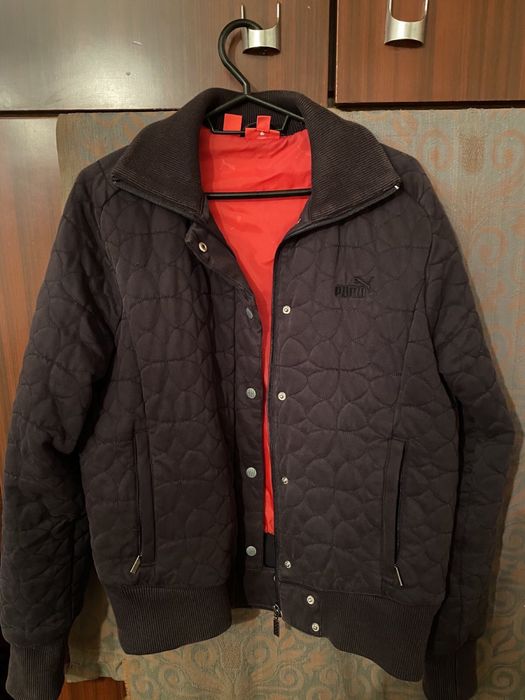 Мъжки якита  на пума