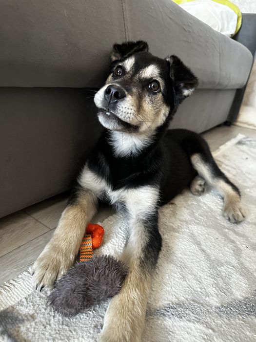 Малышка ищет любящую семью