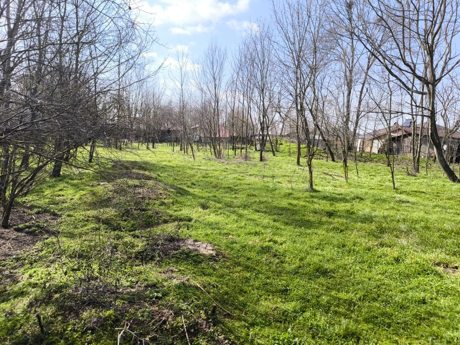 Vind teren intravilan in judetul Teleorman