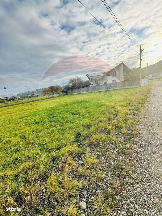 Teren 1,100mp Sighetu Marmatiei / Strada Doboies