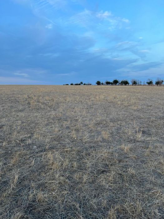 Продам участок 140 гектаров