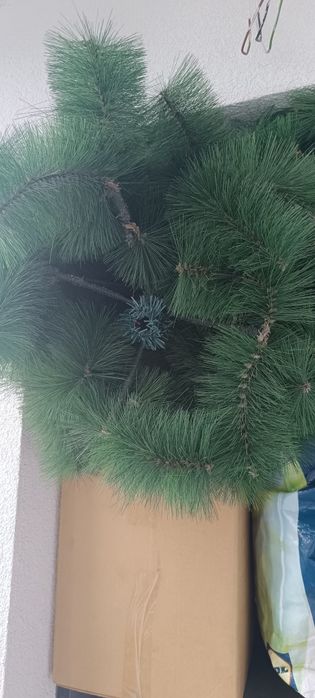 Brad înălțime 1.80 cu creanga stil PIN !