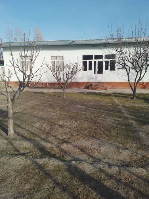 Xovli sotiladi 8 sotix Jomboy tumani Katta qishloq MFY