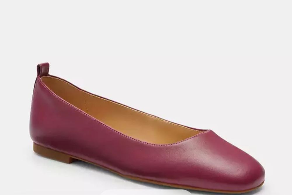 Кожаные балетки Coach