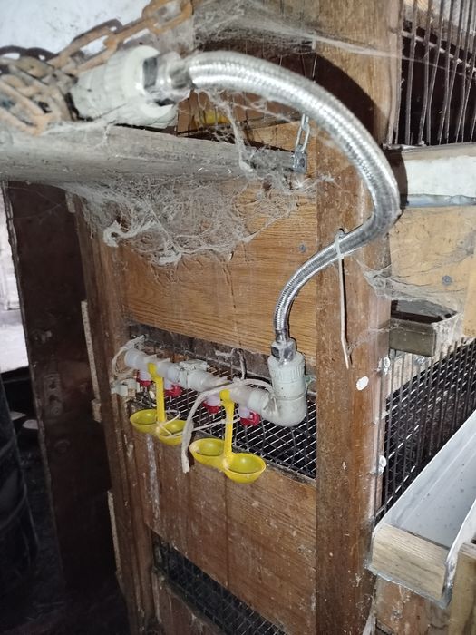 Клетка для перепелок