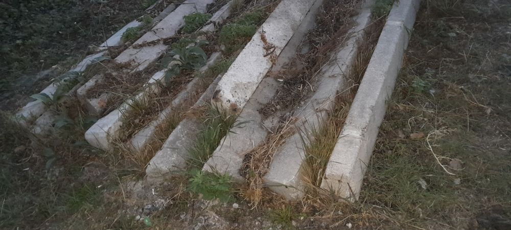 Продаются Пасынки 10кВ.