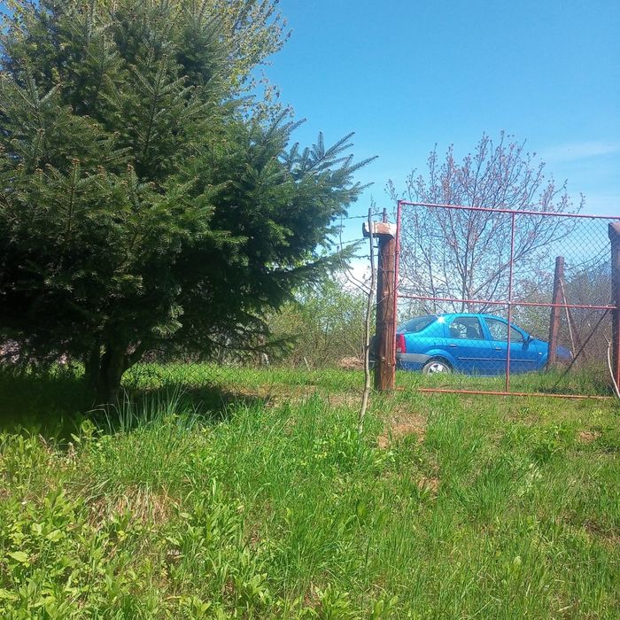 Livada 3000mp Turnu Rosu