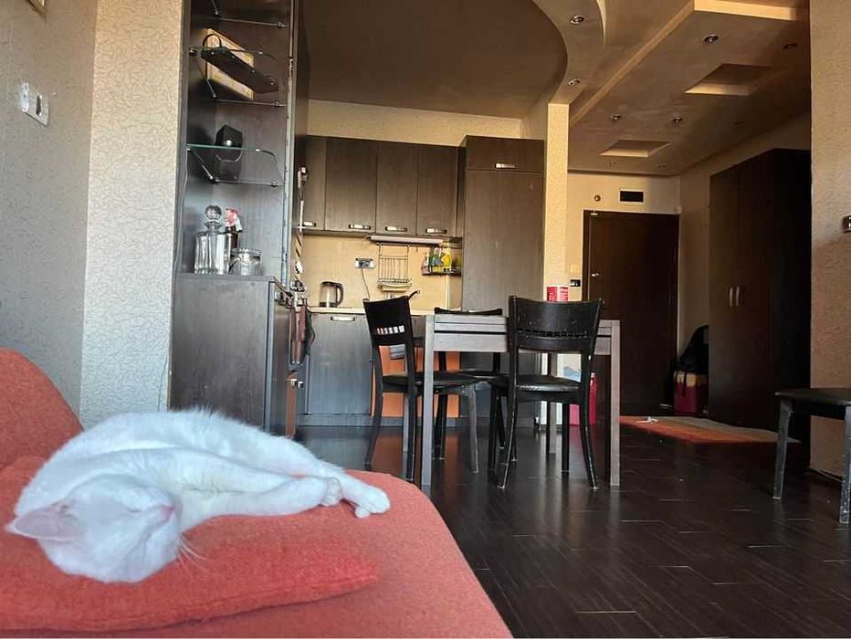 Дава се под наем Тристаен апартамент в София, Гео Милев - 100 кв.м за 700 € - Снимка #1