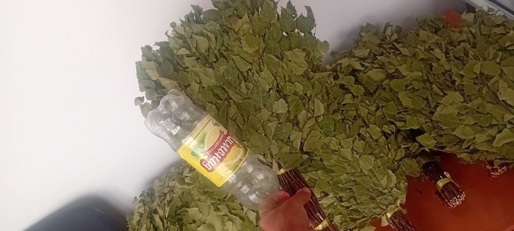 Березовые веники для бани