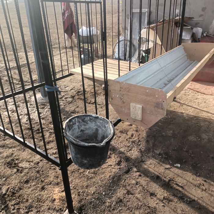 Прадам клетки баран