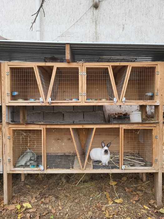 Клетки для кроликов