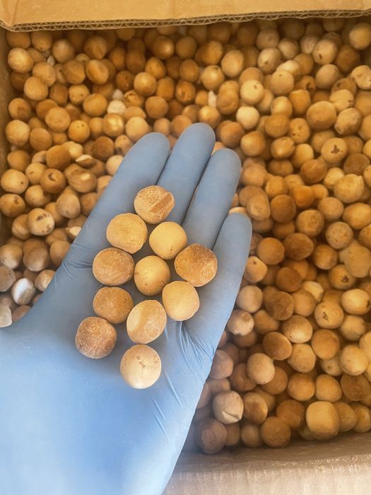 Курт Оптом 1050т кг