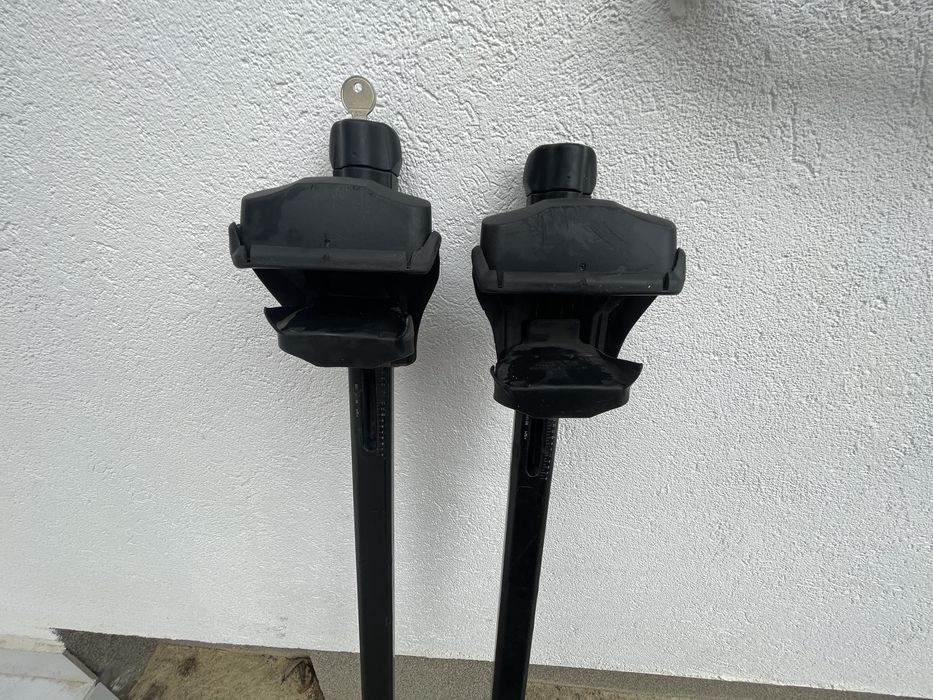 Thule bari transverale