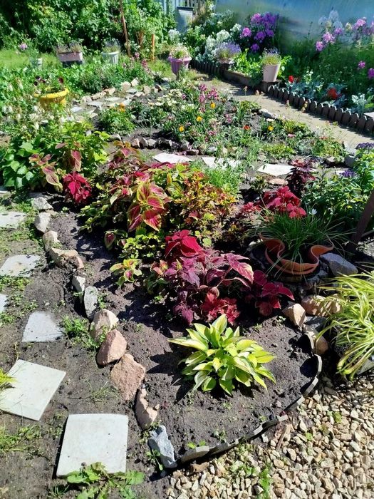 продам дачу с/о Борки