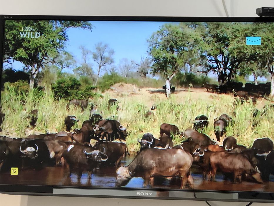 Телевизор Sony bravia 25000т