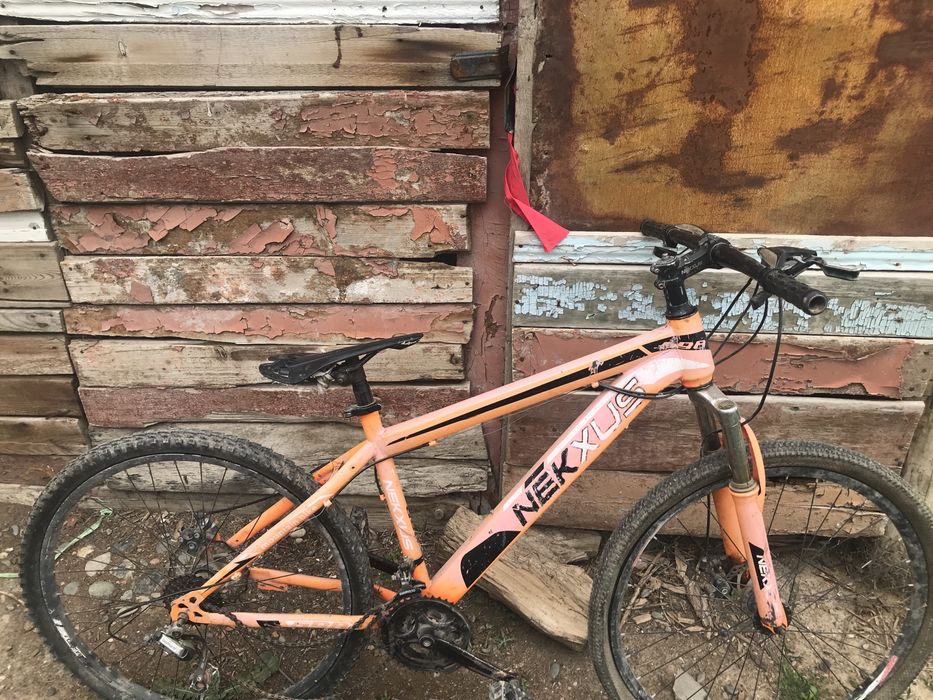 Гарантия бере алмаимын