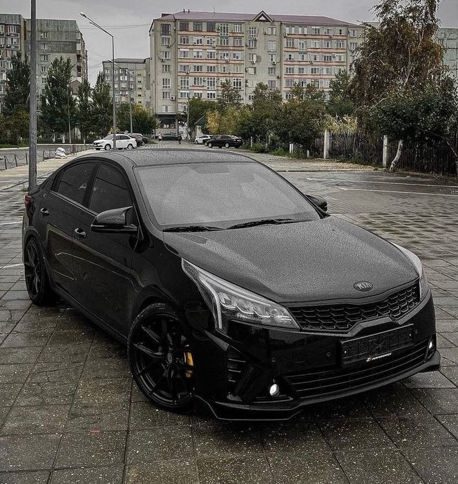 Сплиттеры на пороги и бампер