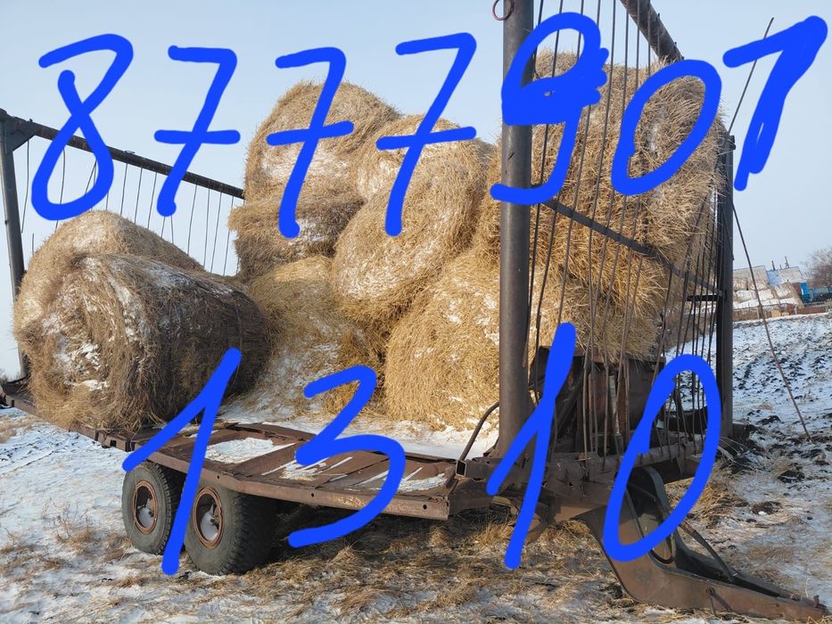 Продам МТЗ 80 в рабочем состояние